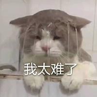 举重男子吕小军_举重冠军吕小军有钱吗_举重冠军吕小军多少钱