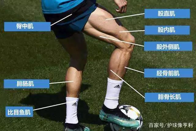 足球小说完本排行榜冠军中场_足球冠军有多厉害知乎小说_最好的足球小说
